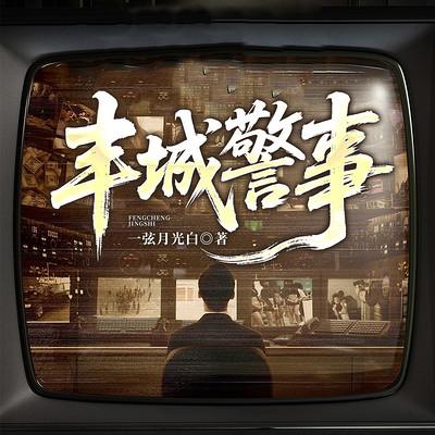 丰城警事有声小说