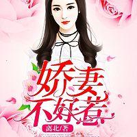 娇妻不好惹有声小说